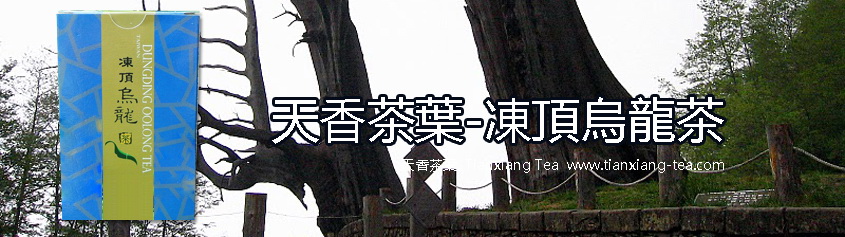 凍頂烏龍茶