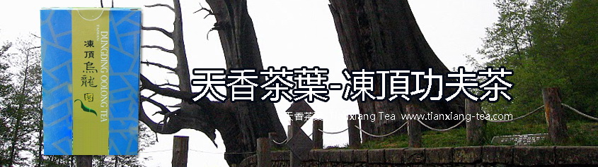 凍頂功夫茶