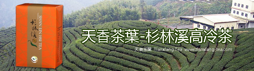 杉林溪高冷茶