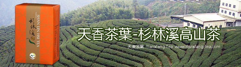 杉林溪高山茶