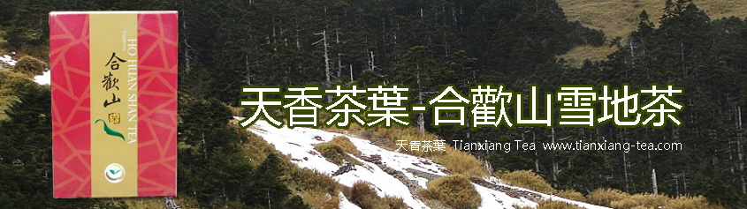 合歡山雪地茶