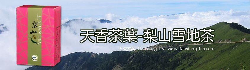 梨山雪地茶
