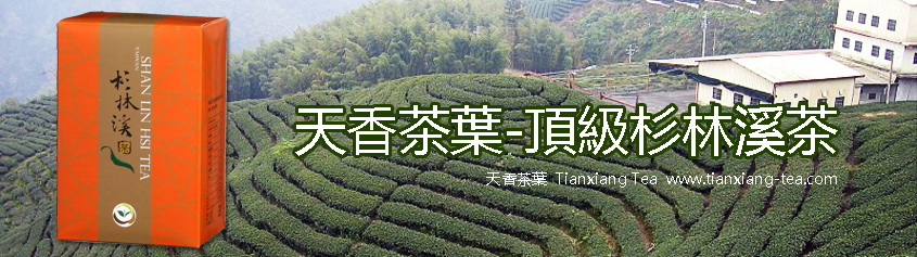 頂級杉林溪茶
