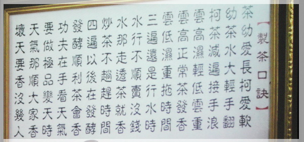 好茶解密